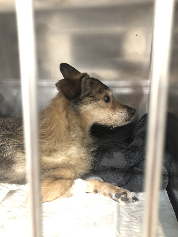 A2E07AE1-DC89-4FF8-A7E5-BCA5444665D9