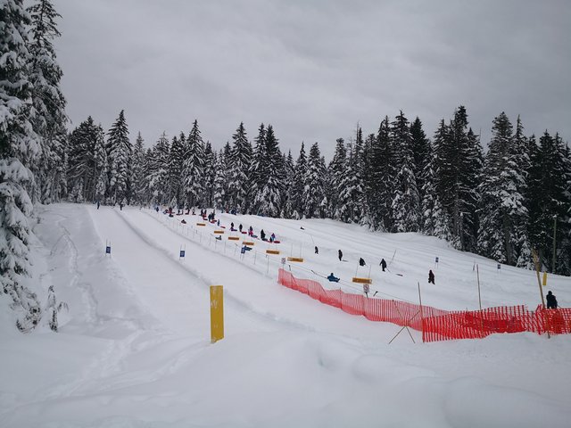 [Image: IMG-20220101-141132.jpg]