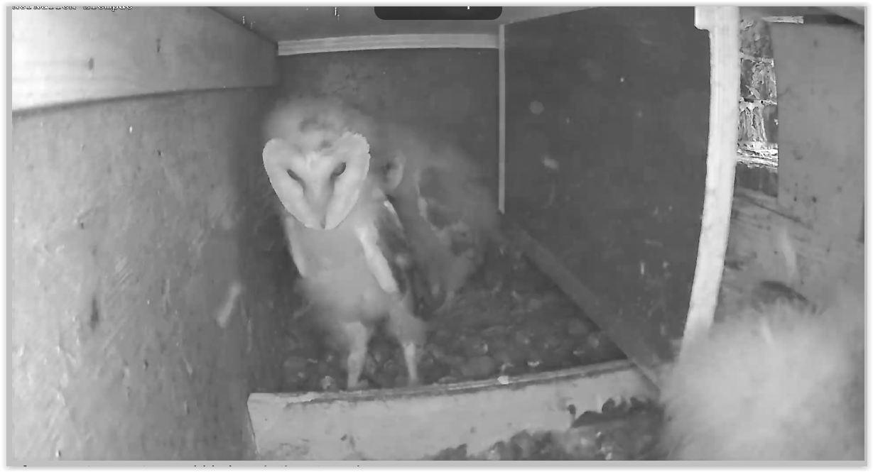 Screen Shot 06-19-21 at 08.53 AM 001