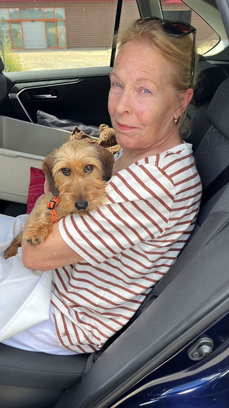 [Image: IMG-7944.jpg]