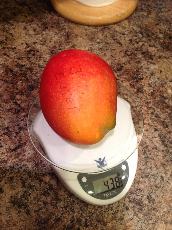 18bd14e8b53996456ce2431e8cd728ee