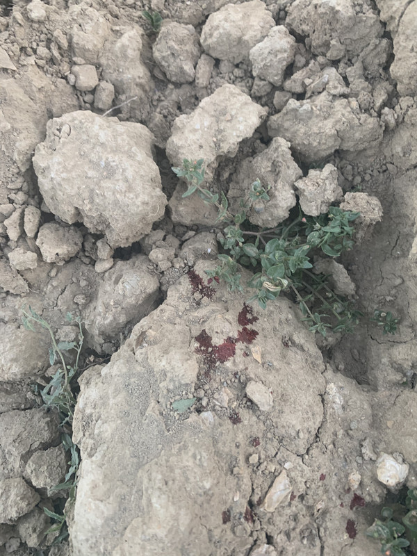 9A4FE6EB-FC23-465E-A173-A4847D679A61