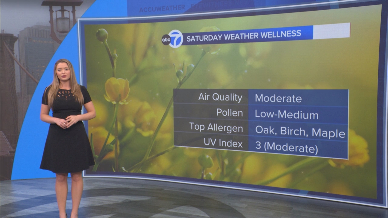 Eyewitness News This Morning_20250426_14001500.ts_snapshot_51.35.805