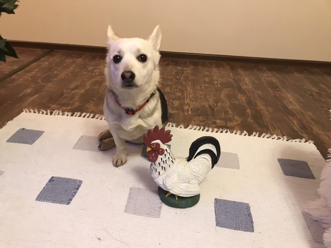 3565E41E-E0E8-454D-BF5A-069C70CE37A4