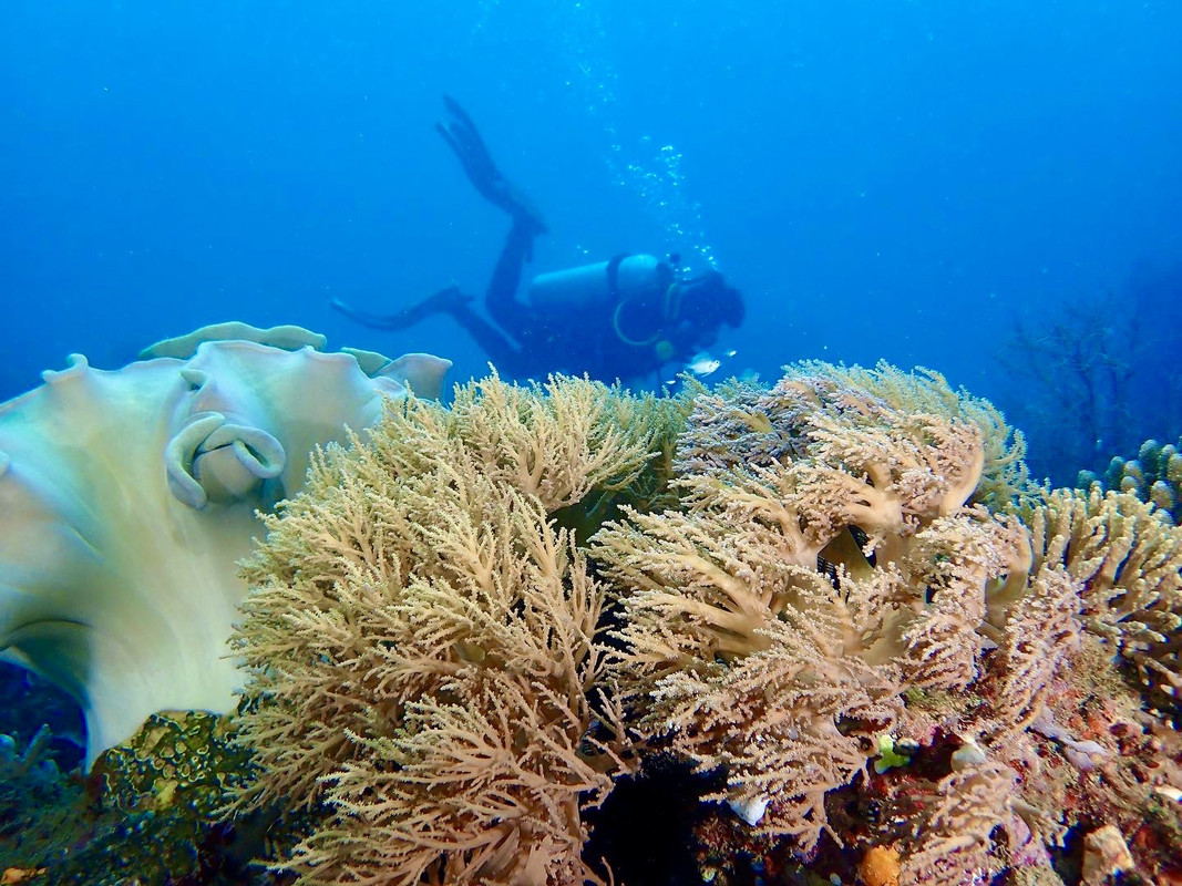 63AABB84-08C4-4D33-B919-137828C48873