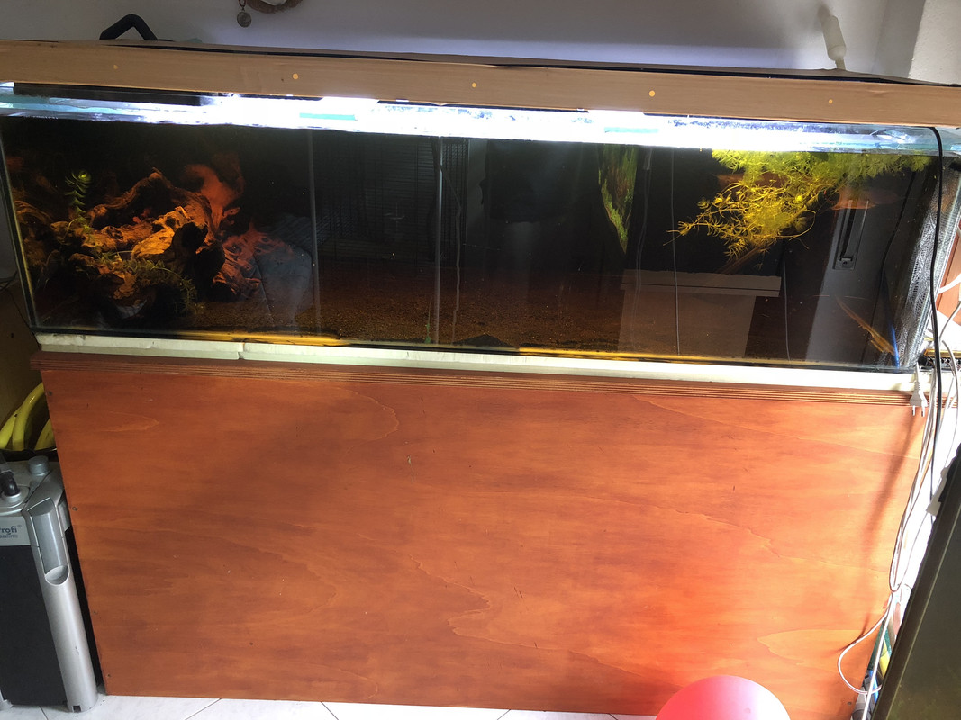 676D5695-31A2-4638-A159-7E1FAE8E46BC