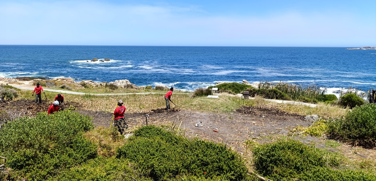 Такая близкая Африка. (ЮАР. 22 дня и 4200 км. Ноябрь-Декабрь)