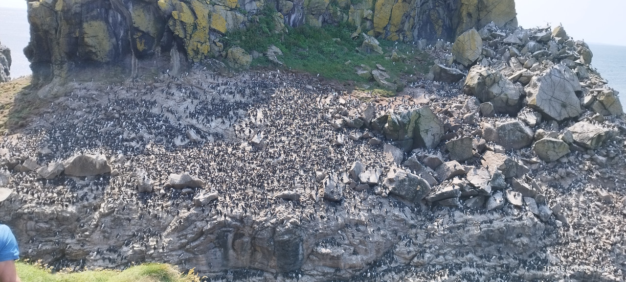 Segundo viaje a Escocia - Blogs de Reino Unido - Día 3 Día 3 Fionnphot - Staffa – Lunga – Tobermory (18)