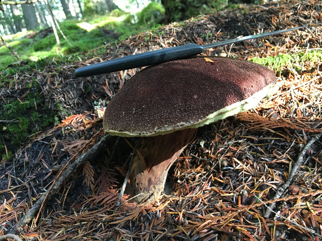 2D846162-6991-44C9-8542-8C5A45E9A3D8