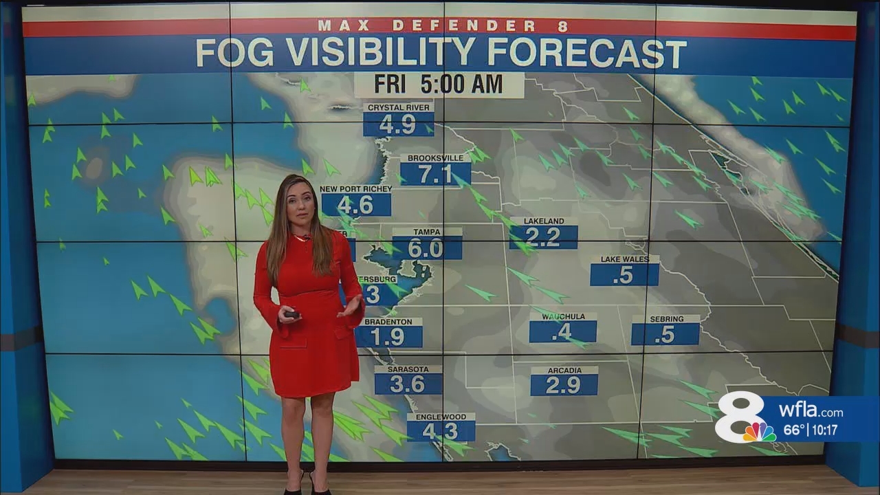 NewsChannel 8 News at 1000pm_20250131_03000330.ts_snapshot_18.26.072