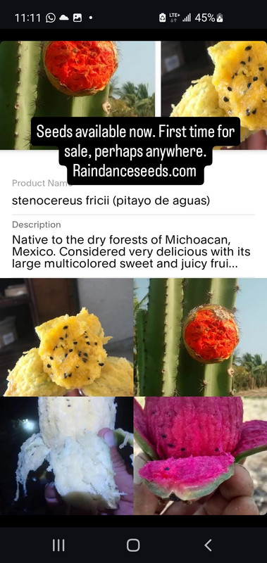 Screenshot 20260102 231127 Instagram