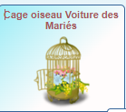 https://i.postimg.cc/brWPwNvq/Cage-oiseau-15-12-360-MO.png