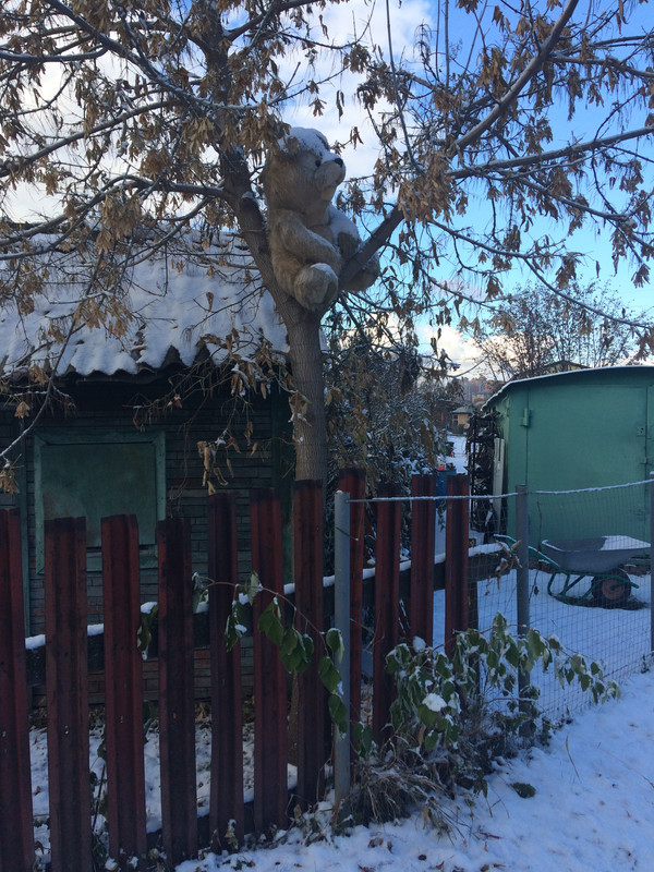 905DC93B-6FCF-4FC6-8448-7B27A09985B6