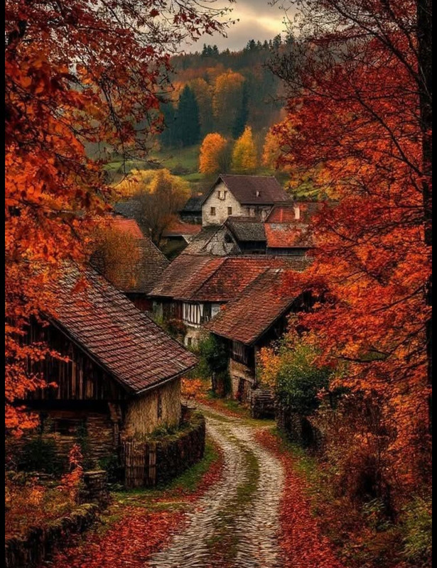 Screenshot_20250925_005655_Pinterest