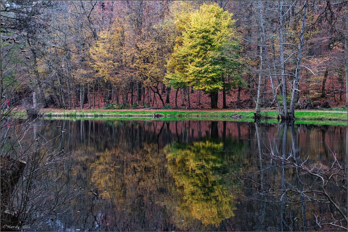 XT5A7984-Verbessert-RR 2024 SB BW LR ERWZ FB