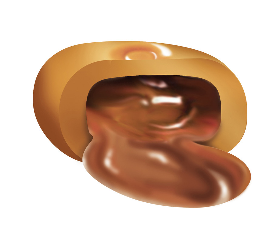 Butter Scotch With Chocolate