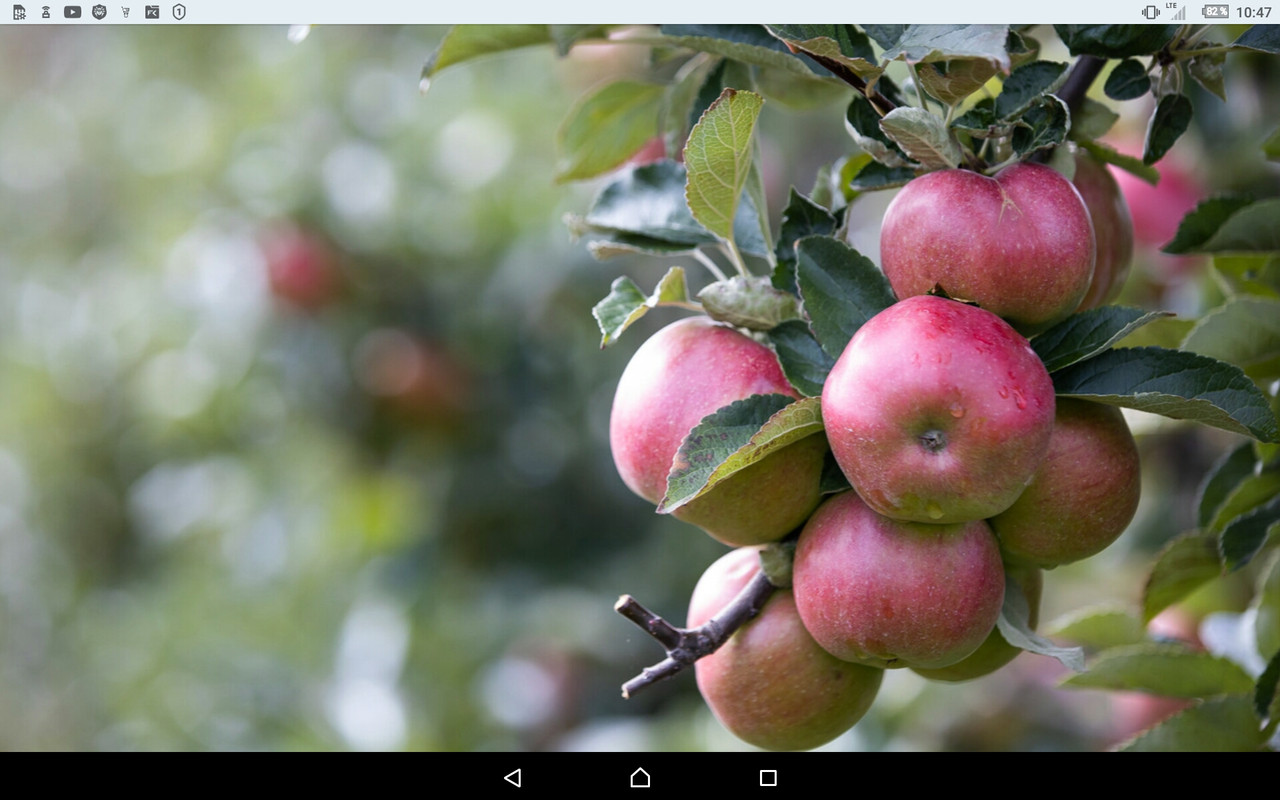 Screenshot_2022-09-24-10-47-45