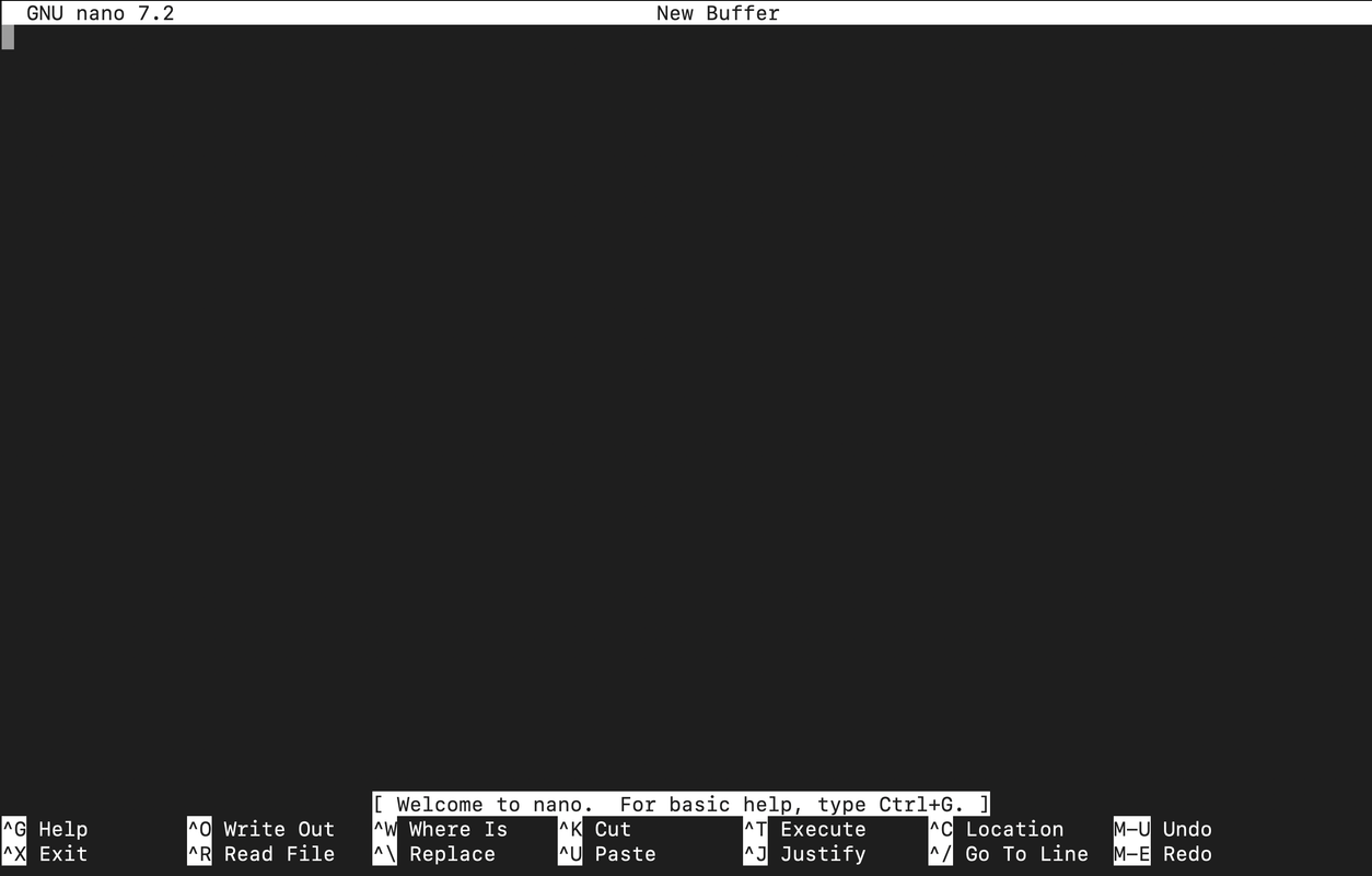 Nano Editor Buffer