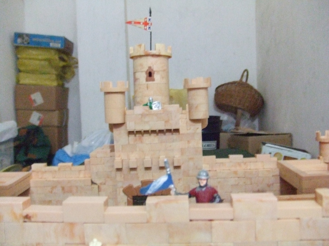 DSCF7584