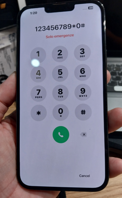 iphone 13 pro max green screen
