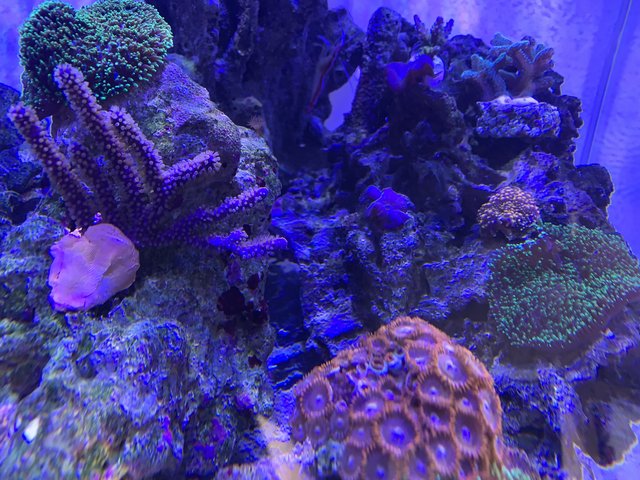 7133364D-CF2C-433A-A504-60F8250139F8