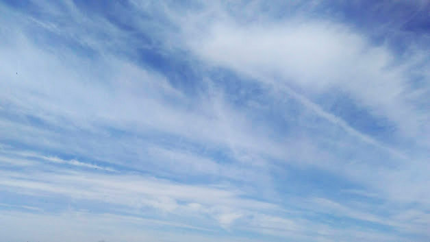 IMG-2019-05-23-082816.jpg