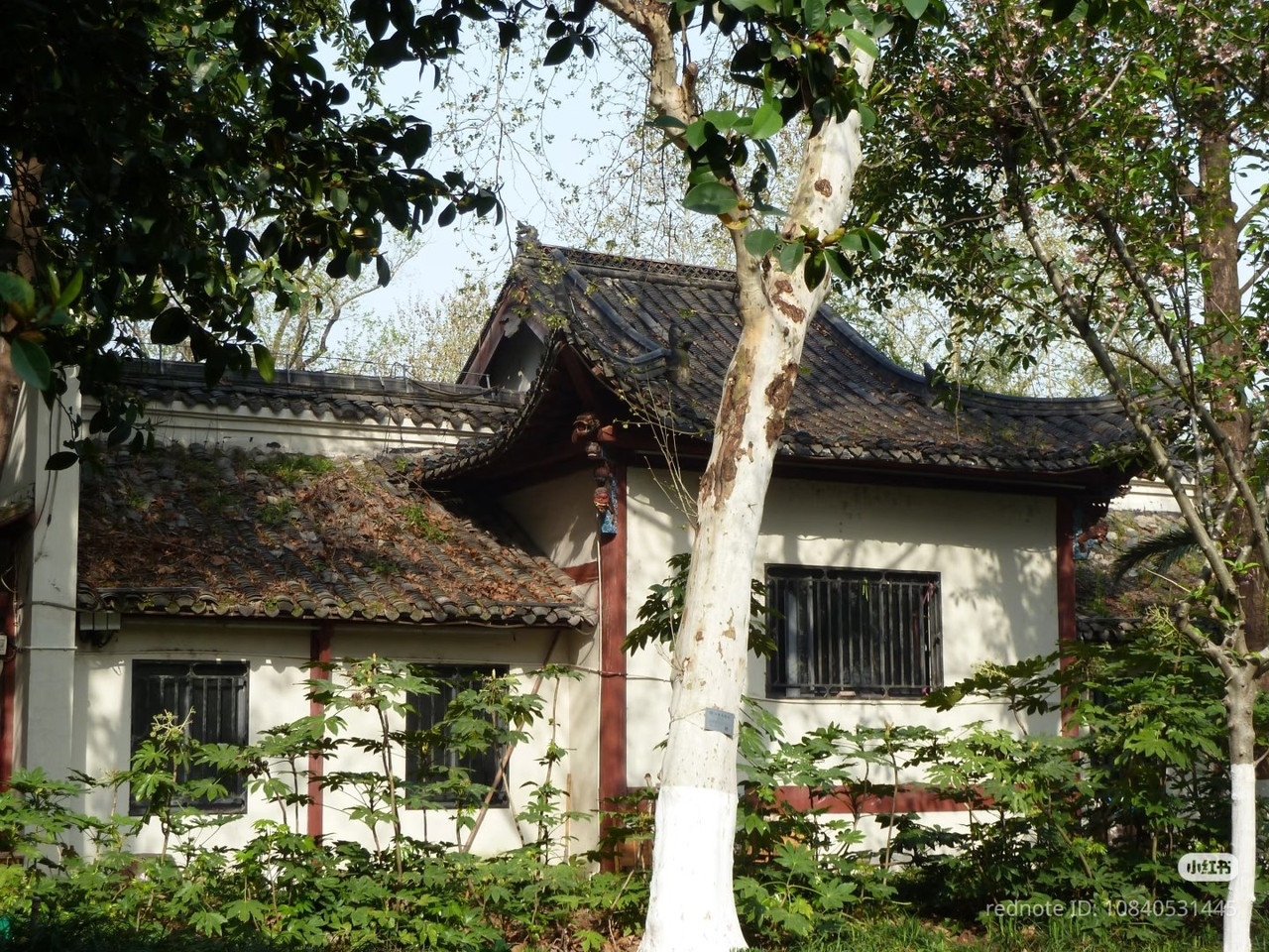 photo 32 2026 01 16 22 00 52