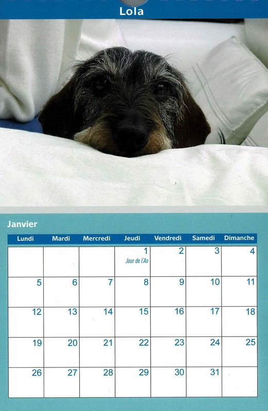 [Image: Num-risation-20250826-2-Copie.jpg]