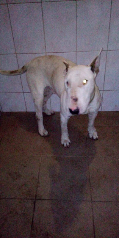 2E324D0D-C256-4414-B404-082D00D25F14