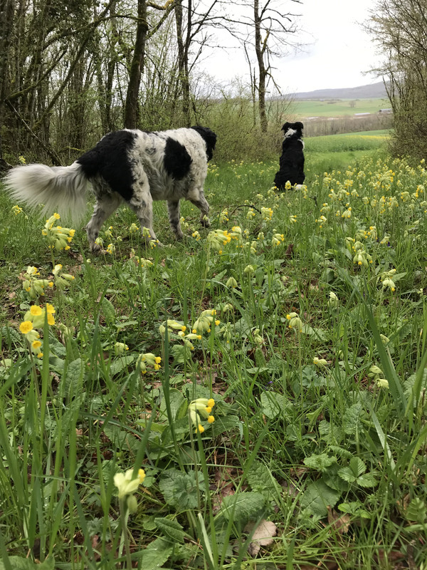 2F148C60-8DF6-42D1-85B0-A8F780603E4E