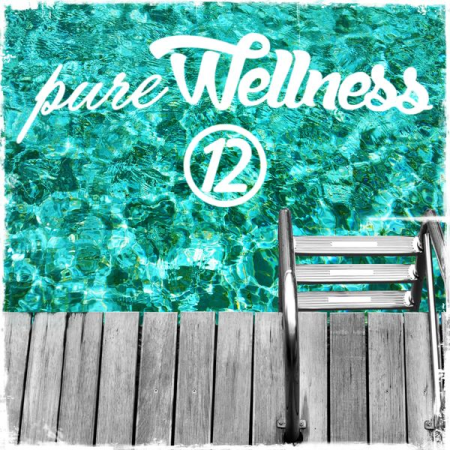 Various Artists - Pure Wellness, Vol. 12 (2021)