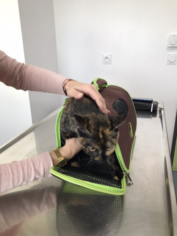 97558A7D-5B1A-477D-962B-A9594F17A60B