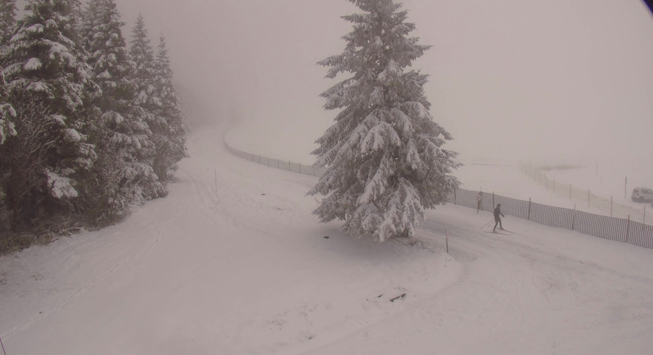 les-estables-ski-nordique-2023-12-15-16-