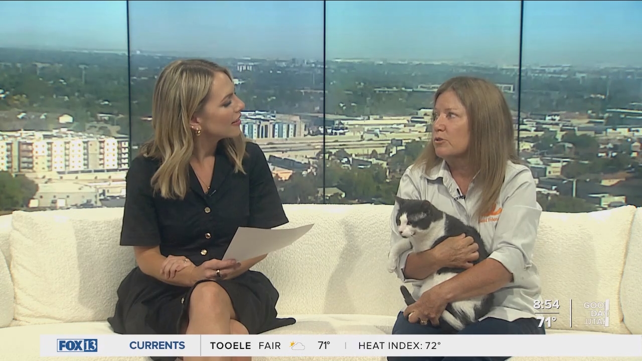 06.09 - 15.00.00 - FOX13 News  Good Day Utah 8AM  ᴺᵉʷ. Utah news, wea....ts_snapshot_55.34.519
