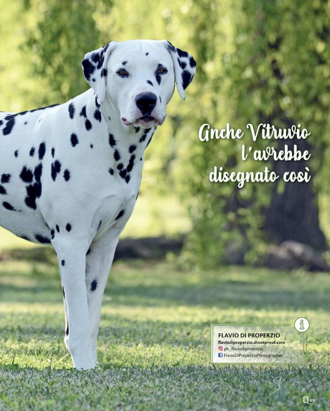 QuattroZampe Lug 2021 (10)