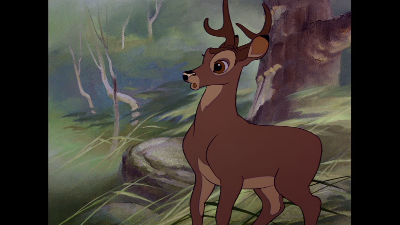 vlcsnap-2023-11-20-21h26m03s059