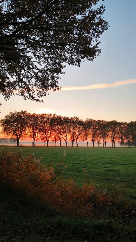 Lumii 20251107 074509204