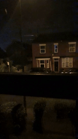 giphy.gif