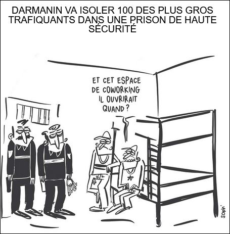 text alternatif