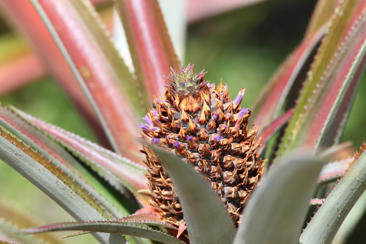 07FDE10C-F5AF-456E-94C3-CE115BB61A8C_1_201_a