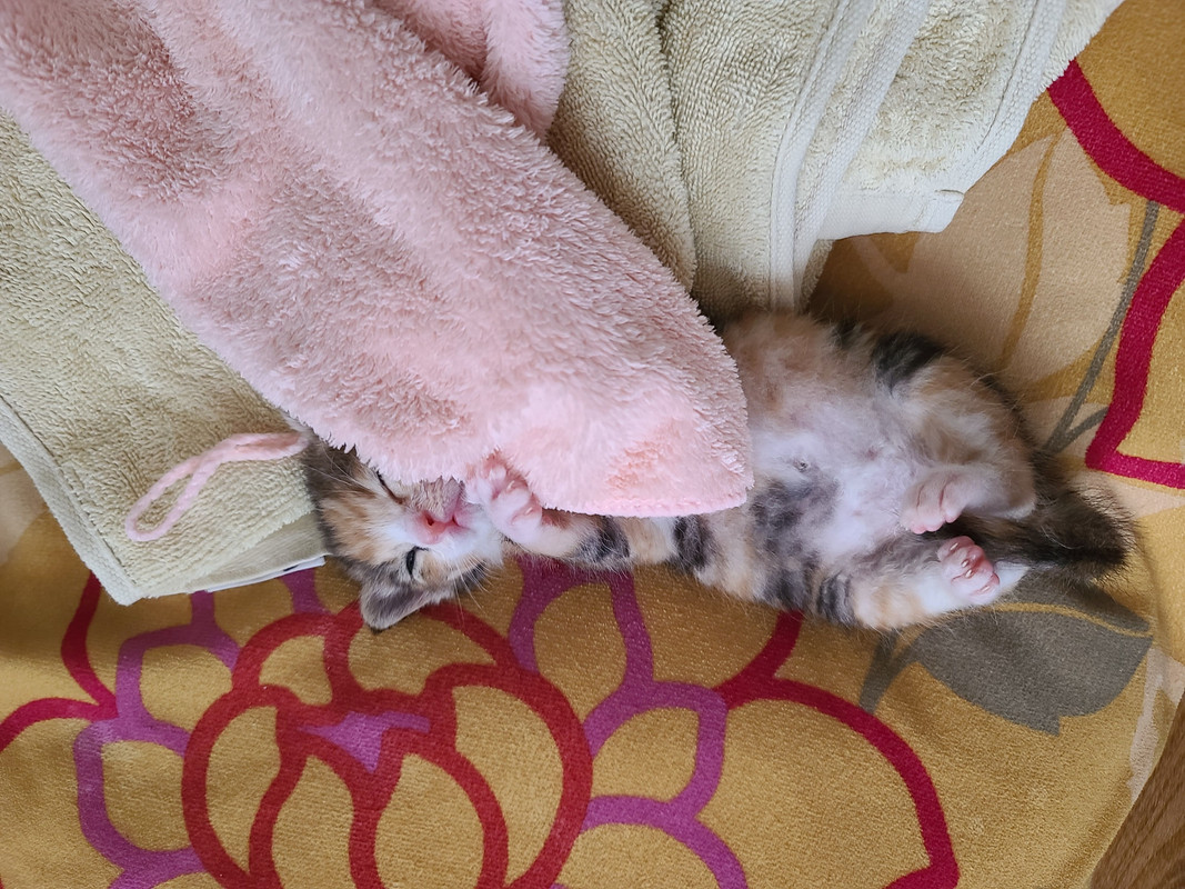 KakaoTalk_20230806_174426711_11