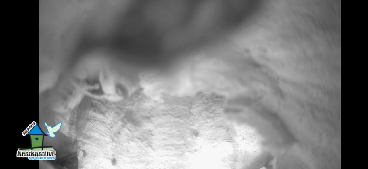 Screenshot 20251118 080442 org mozilla firefox