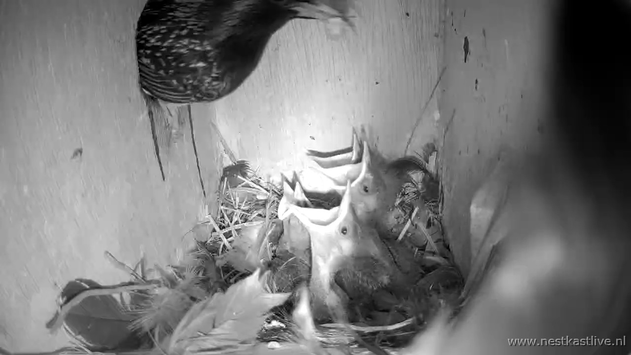 snapshot 2026 04 26T181830 418