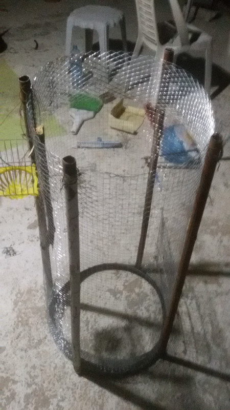 ٢?١٩?١٢٦_١٧٤٧٣٩