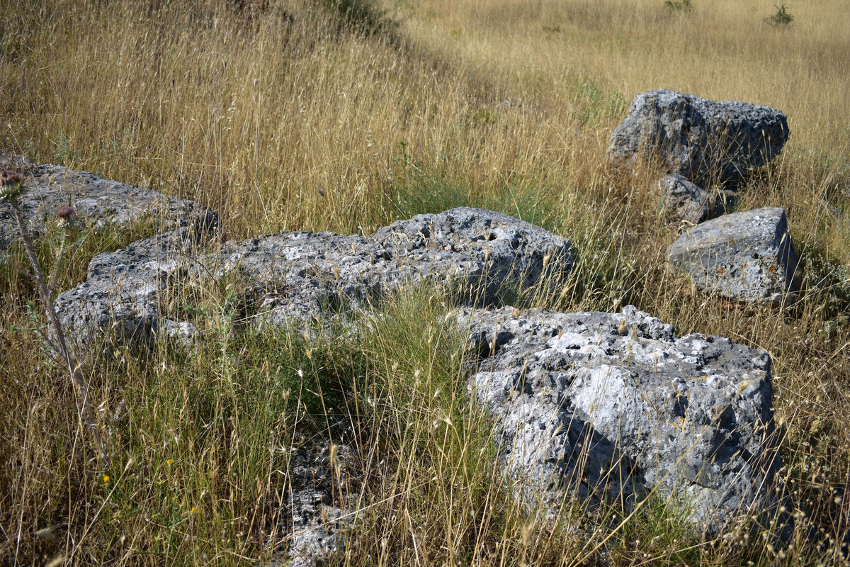 Αρχαίες Πλαταιές (11)