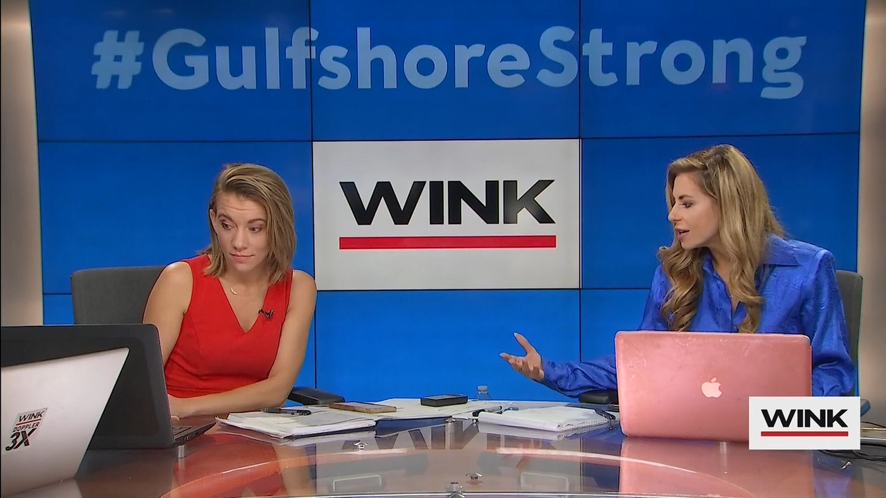 10.09 - 13.00.00 - WINK News at 8 00AM  ᴺᵉʷ..ts_snapshot_00.06.09.796
