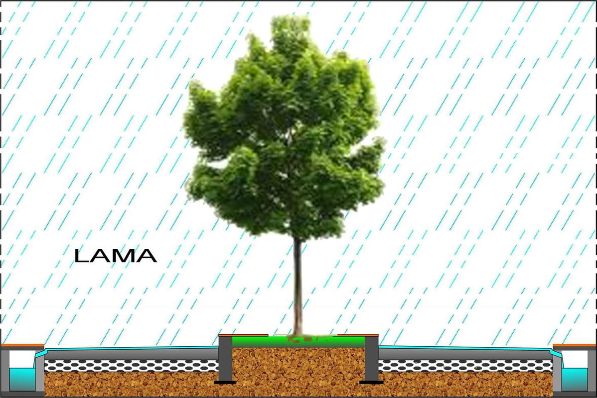 FB_IMG_1567413004513