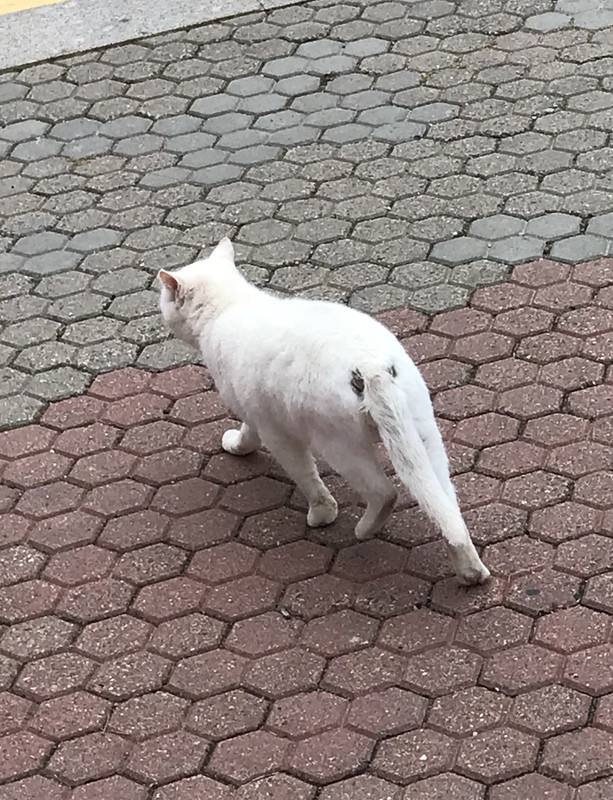 AE502DE5-9C0F-4225-9A20-E68A24D577A1