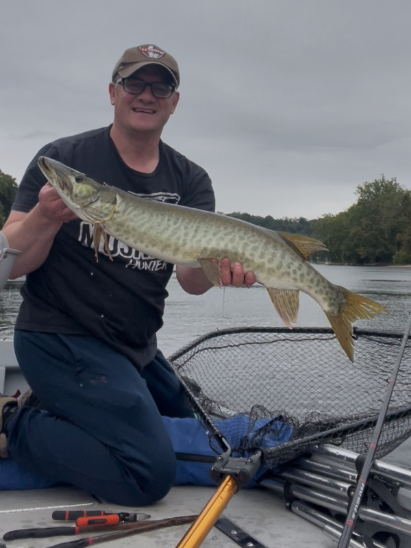 705ED4B2 901D 43CC BF1A 5CE2C4496768