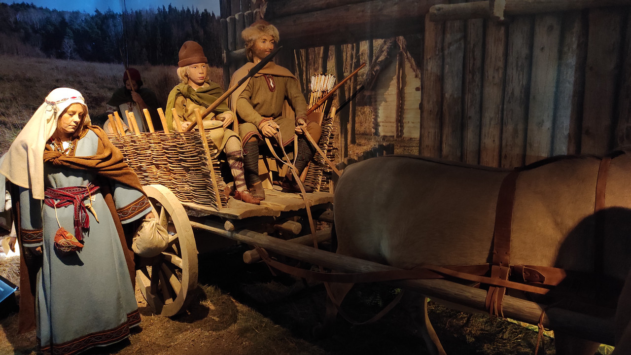 05.10 - IMG_20220617_145347 (Czesio1)